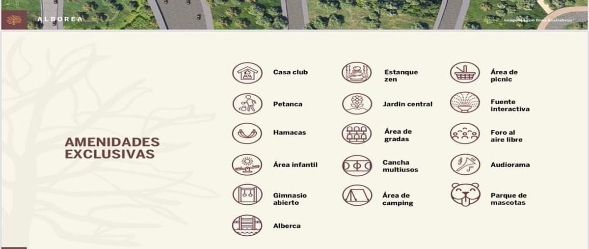 Foto de terreno habitacional en venta en  , las cruces [carretera nacional kilómetro 236], allende, nuevo león, 31418492 No. 05